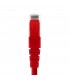 PATCH CORD NEXXT U/UTP RJ45 CAT6 1FT/RD 0.30CM RED 1000Mbps/1Gbps 250MHz 4P 24AWG CM /PCGPCC6CM01RD AB361NXT36