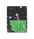 HDD SEAGATE BARRACUDA 160GB 3.5" 7200RPM SATA III, 3.0 Gb/s 8MB PC ST3160815AS (DS)