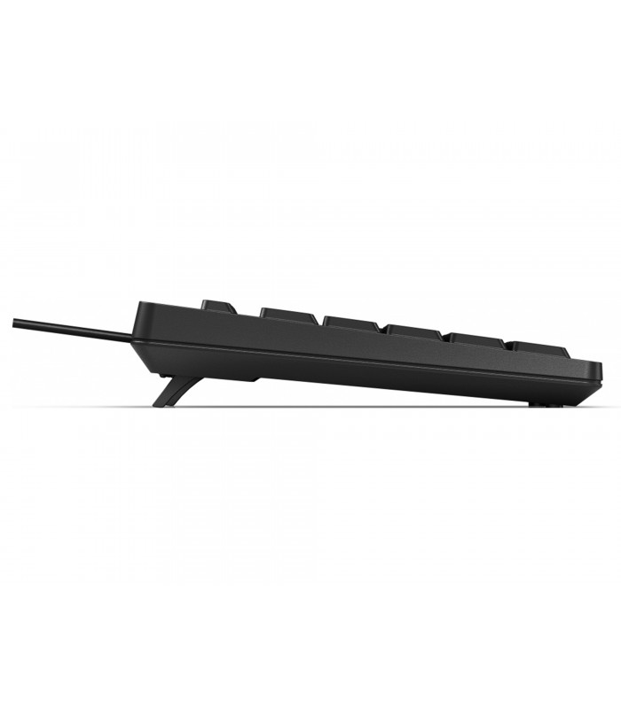 TECLADO HP 125-BK USB-A ALAMBRICO / NEGRO / PC LA / 266C9AAABM / ORIG.