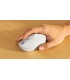 MOUSE LOGITECH M196 INALÁMBRICO /GRAFITO/BLUETOOTH/OPTICO/3BOTONES/1000DPI/12M BATT/10m /2D RUEDA MECANICO/1XAA/ 910-007456