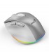MOUSE GENIUS ERGO 9000S PRO INALÁMBRICO SLVR /RF 2.4GHz+BT 5.3/OPTICO/USB-A/RGB 7C/6BOTONES/2400DPI/10m/BATT USB-C/SILEN/ERGO.