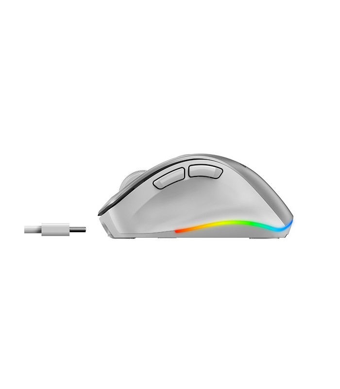 MOUSE GENIUS ERGO 9000S PRO INALÁMBRICO SLVR /RF 2.4GHz+BT 5.3/OPTICO/USB-A/RGB 7C/6BOTONES/2400DPI/10m/BATT USB-C/SILEN/ERGO.
