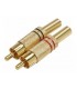 PLUG RCA METAL DORADO R/NC / COLITA