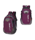 MOCHILA CHANSIN LS328-GR PARA LAPTOP 15.6 VARIOS COMPARTIMENTOS COLOR MORADO