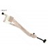 FLEX LCD ACER Extensa 5230 5230E 5430 5630 5630EZ 5630G Travelmate 5230 5330 5530 5730 5530G 5730G SERIES 30PIN ORIG.